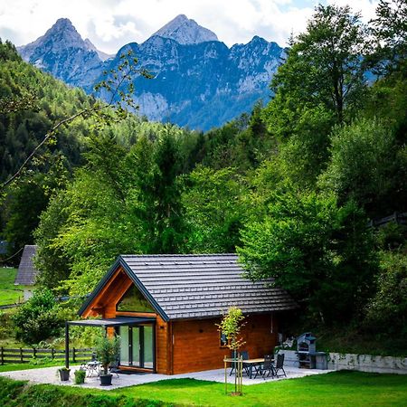 Radovna Chalet With Panoramic View Mojstrana Eksteriør billede